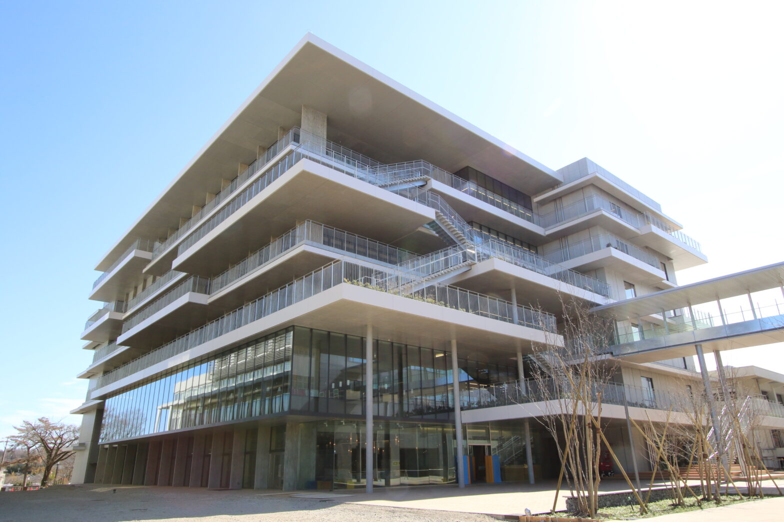 明治大学の前川佐理先生にインタビューさせていただきました！