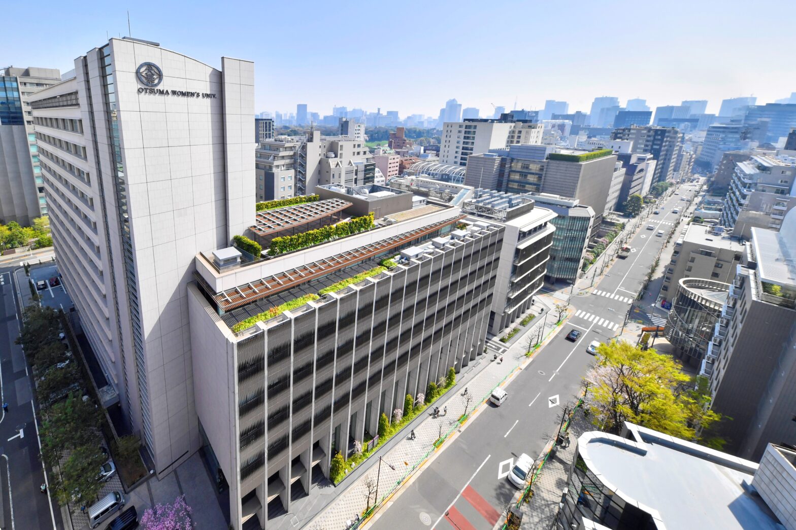 大妻女子大学の井上俊也教授にインタビューさせていただきました！