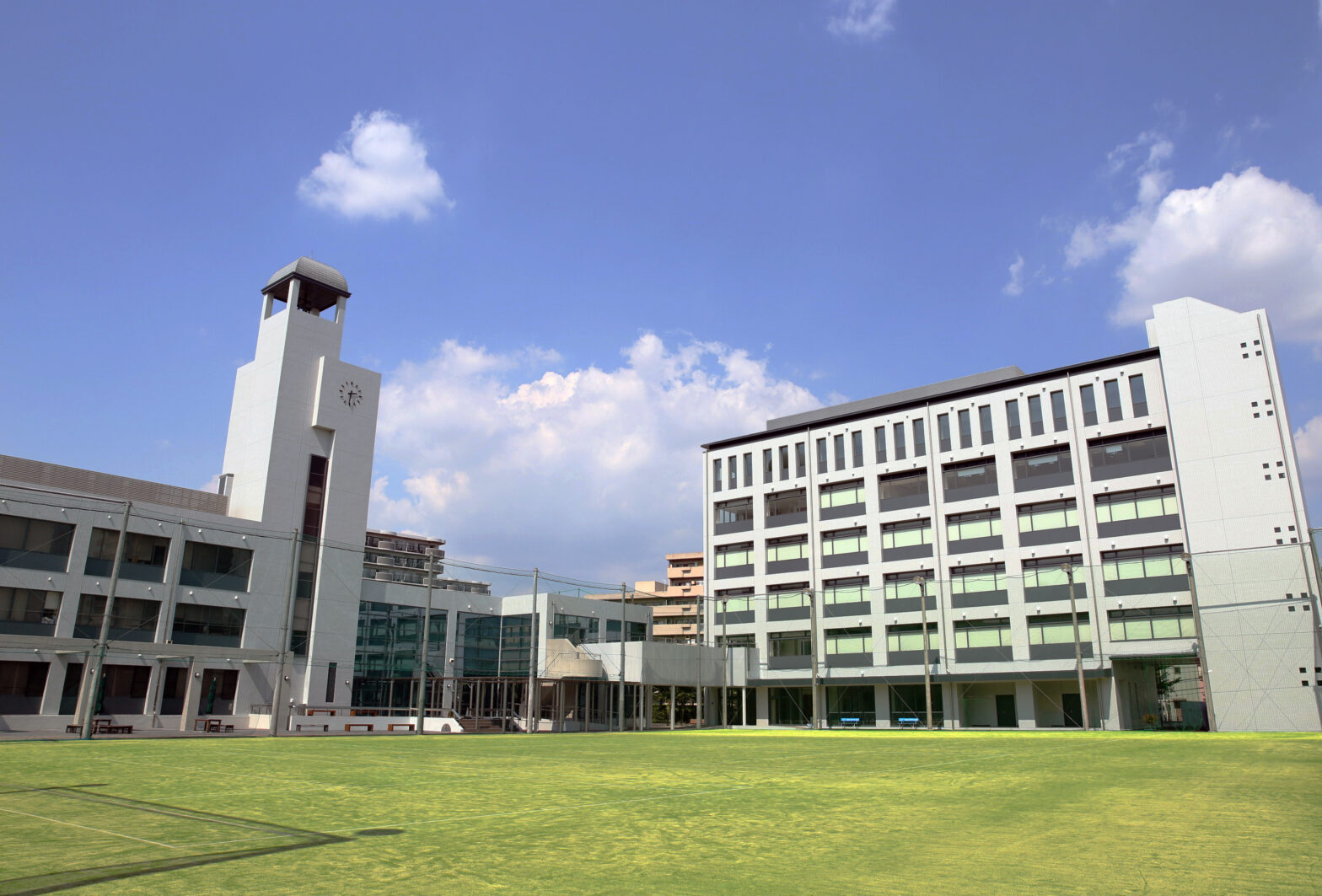 大阪常磐会大学の井上敏孝先生にインタビューさせていただきました！