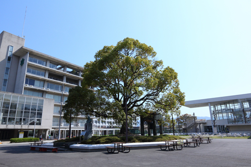 京都文教大学_ 学舎